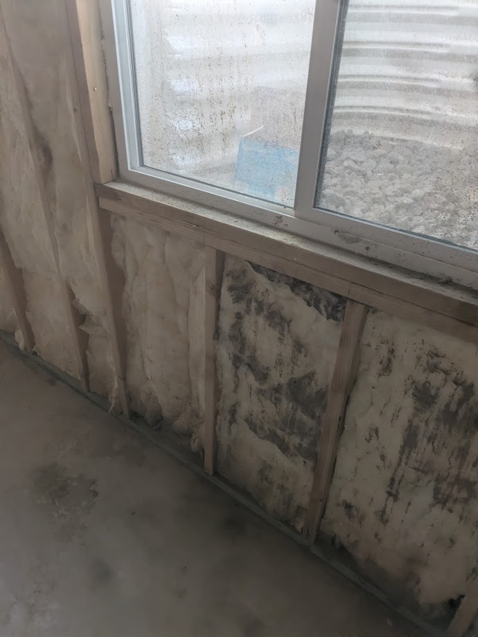 unappealing physical and visual presence of mold growth after Dry Fogging